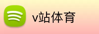 v站体育 Logo
